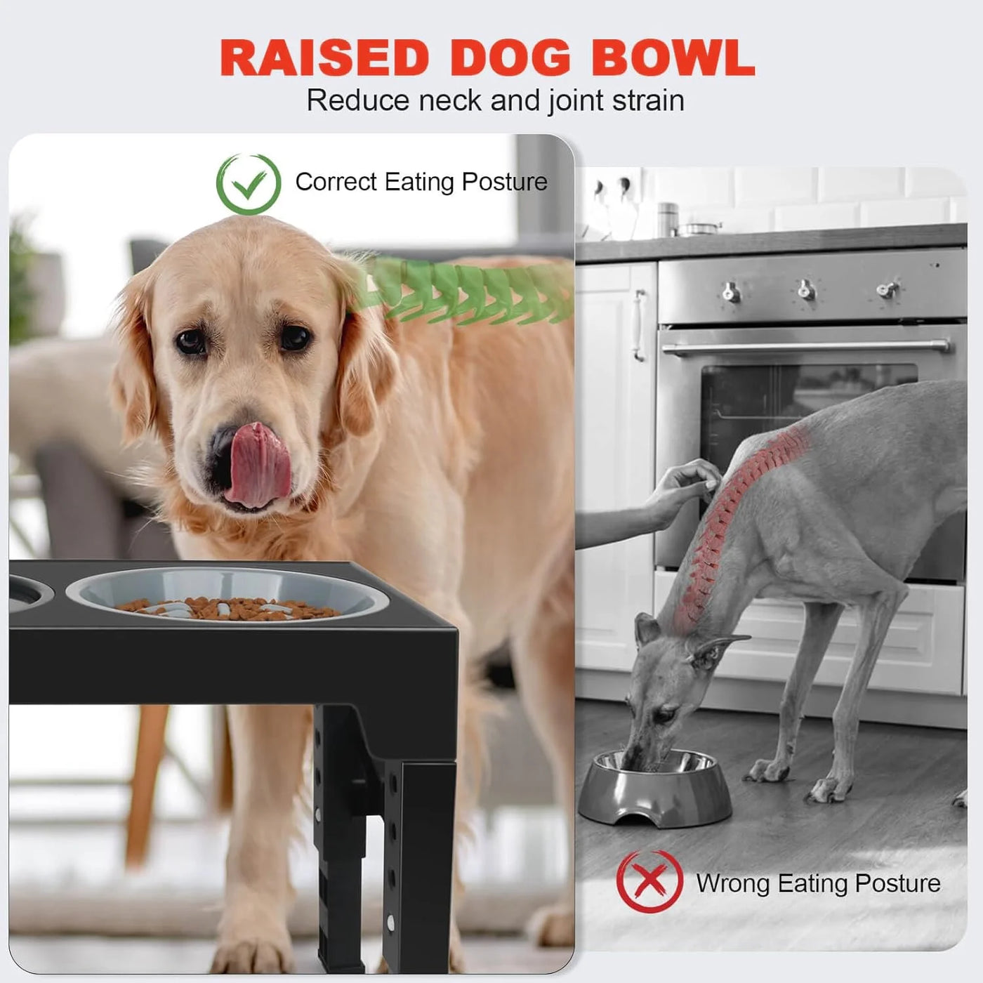 Elevated Dog Bowls, Raised Slow Feeder Dog Bowls Stand with No Spill 5 Height Adjustable, Water Bowl for Small Medium Large Dogs, Cats & Pets