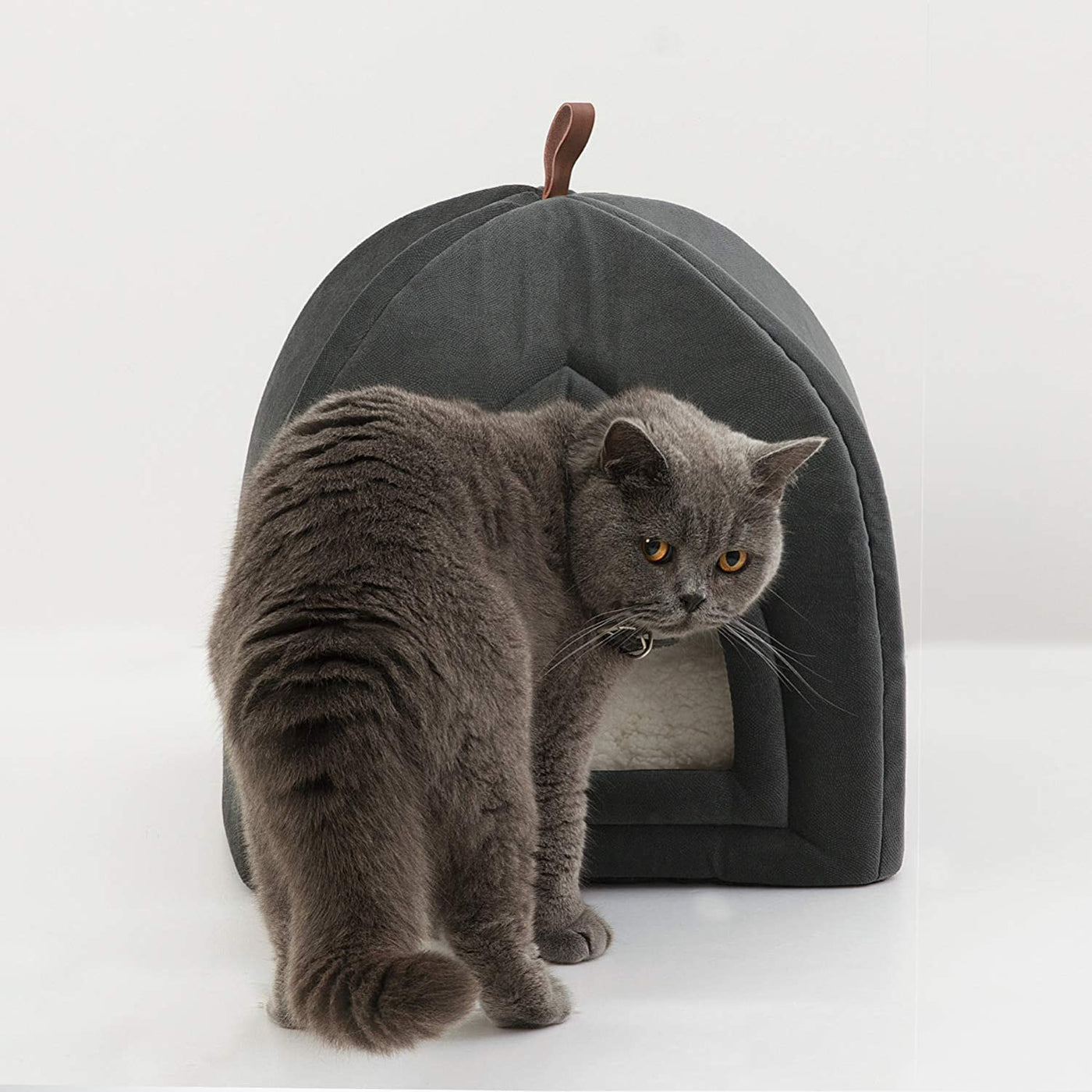 Cat Beds for Indoor Cats - Cat Cave Bed Cat House Cat Tent with Removable Washable Cushioned Pillow, Kitten Beds Cat Hut, Small Dog Bed, Dark Grey, 15 Inches