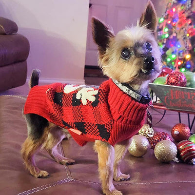 Dog Christmas Sweater Reindeer Small Dog Christmas Sweater Red Buffalo Check with Leash Hole Pet Sweater Dog Christmas Outfit Puppy Sweater,S