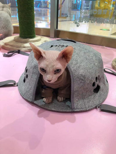 Cat Felt Cave for Indoor Cats .Tent Bed for Small Cats .Cat Houses for Outdoor Cats,Cat Beds for Cats Puppy Small Dogs Sleeping (Light Grey )