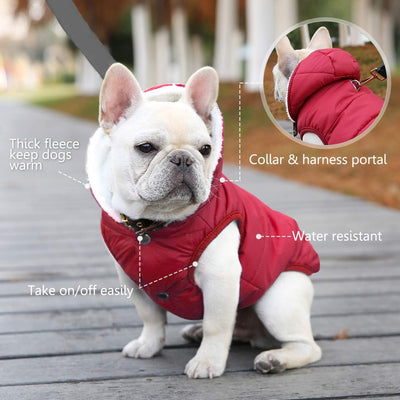 Dog Fleece Hoodie, Windproof Waterproof Dog Coat Fleece & Cotton Lined Warm Dog Jacket, Cold Weather Pet Apparel Clothes Vest for Small Medium Large Dog (2XL: Length 19.7", Chest 22.8"-25.6'', Red)