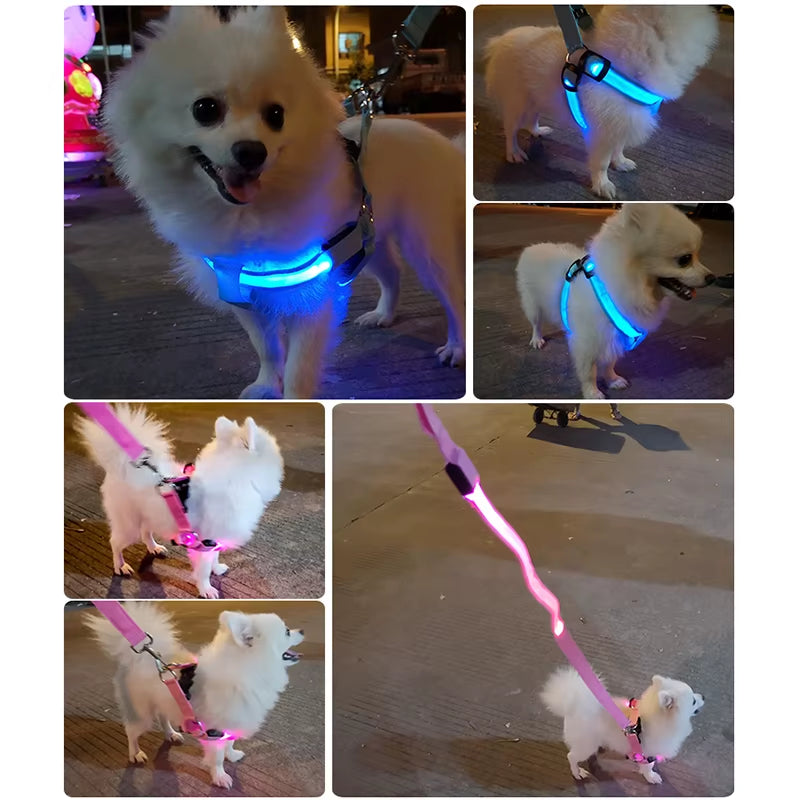 Adjustable LED Dog Harness Usb Rechargeable Flashing Night Safety No Pull Collars Harness for Small Medium Dogs Pets Arnes Perro