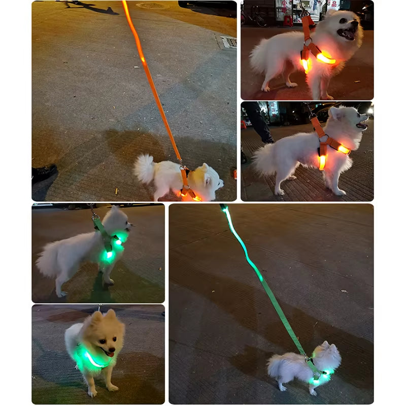 Adjustable LED Dog Harness Usb Rechargeable Flashing Night Safety No Pull Collars Harness for Small Medium Dogs Pets Arnes Perro