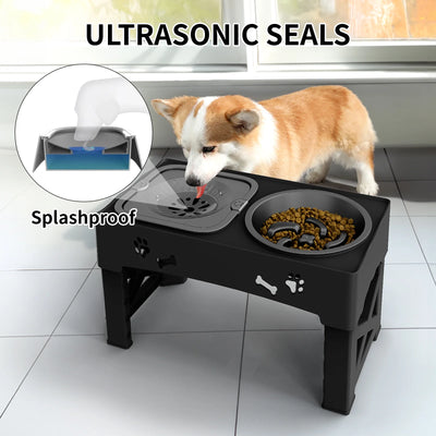 2-In-1 Elevated Slow Feeding Dog Bowl Adjustable Height for Small to Medium Dogs and Cats