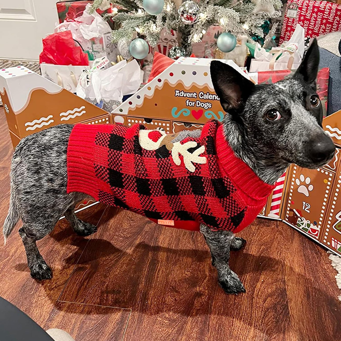 Dog Christmas Sweater Reindeer Small Dog Christmas Sweater Red Buffalo Check with Leash Hole Pet Sweater Dog Christmas Outfit Puppy Sweater,S